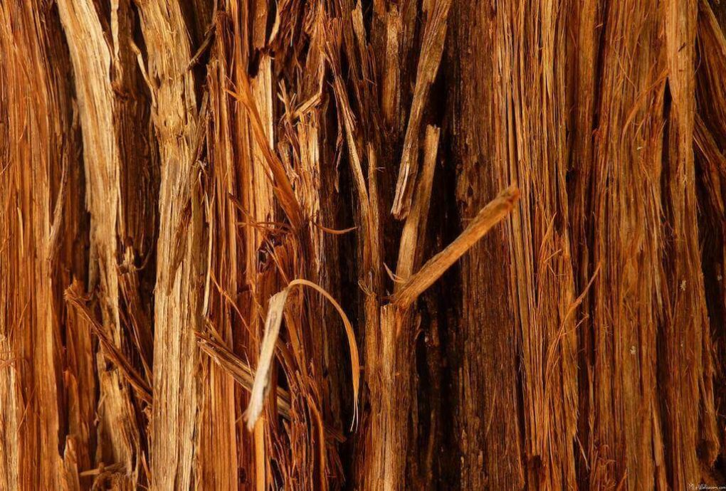 Sinnliche Akteure | Ingredients - Aloha Senses