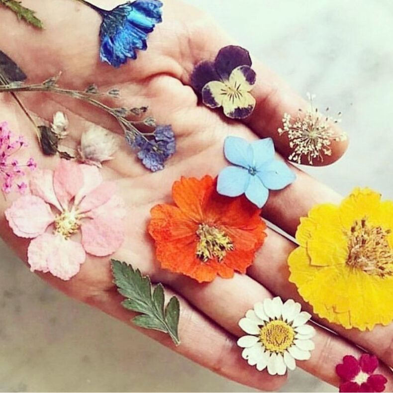 ALOHA FRIDAY | Sinnliche Duftreise & Happy Vibes im Aloha Senses Atelier